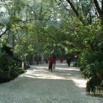 Path along Buddha Hall